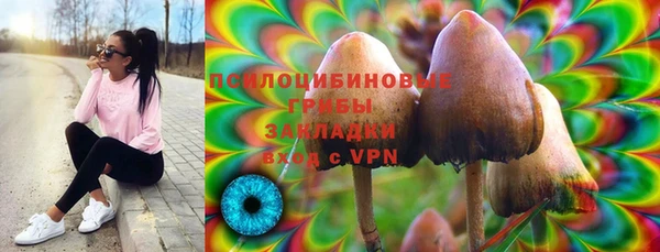 бутират Баксан