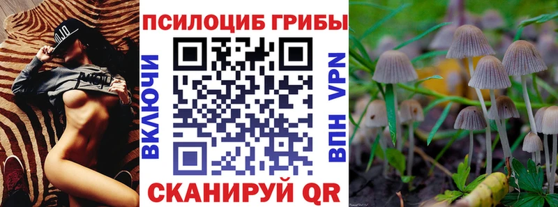 Галлюциногенные грибы Psilocybe  Омск 